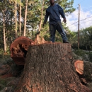 Mr. I.M. Log'n - Firewood