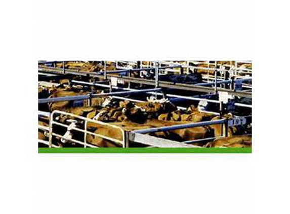Northern Artificial Breeders - Scone, NSW