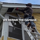 MiteBuster BedBug & Pest Control - Pest Control Services