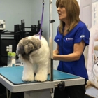 San Diego Grooming Academy