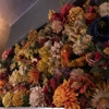Le Happy gallery