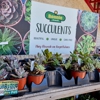 Tractor Supply Co gallery