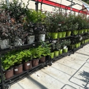 Tractor Supply Co - Garden Centers