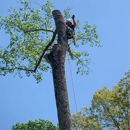 ArborPro Tree Service - Tree Service