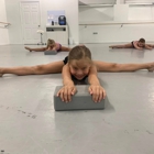 Dance Perfections Arts Company