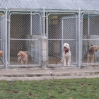 Central Kennels