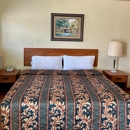 Alamo Oasis Inn and Suites By OYO San Antonio - Hotels