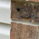 Allen Pest Management - Pest Control Services