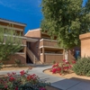 Smoketree gallery