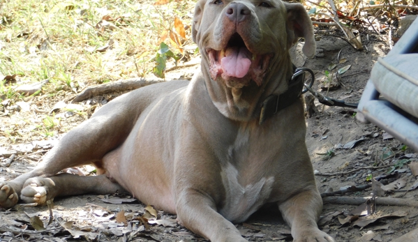 Red Oak Animal Hospital - Atlanta, GA. He loved it.