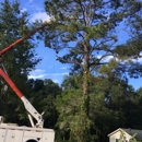 Ray's Tree Service - Landscaping & Lawn Services