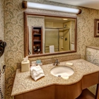 Hampton Inn Manning