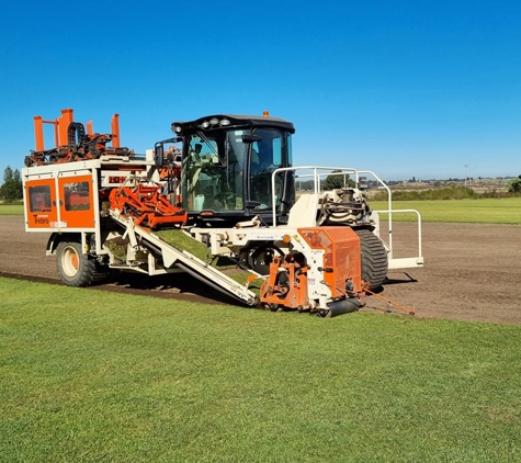 Qualturf - Richmond Lowlands, NSW