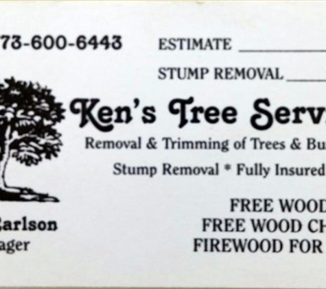 Ken's  Original Tree Service - Merrionette Park, IL