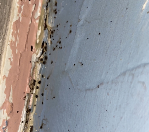 Connie Farley's Rentals - Stoutsville, OH. Bedbugs and roaches would come out of the crevices of the walls