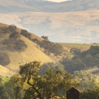 Rosewood Cordevalle