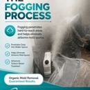 BestPro Mold Removal - Home Improvements