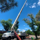 ANM Crane Services Inc. - Crane Service