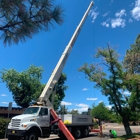 ANM Crane Services Inc.