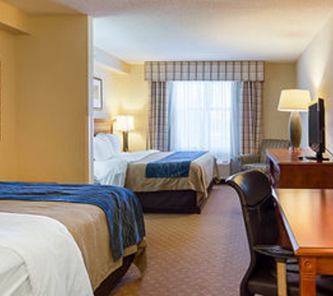 Comfort Inn & Suites Virginia Beach-Norfolk Airport - Virginia Beach, VA