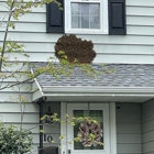 Arnold's Pest Control