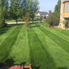 Compton Lawn Care gallery