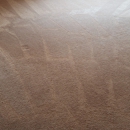 Dirt Blasters Cleaning - Carpet & Rug Inspection Service