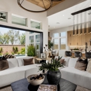 Stella at University Park - Real Estate Developers
