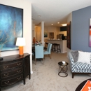 Alta Springs - Apartments