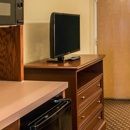 Quality Suites - Motels