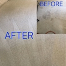 Ferrante's Steam Carpet Cleaning - Upholstery Cleaners