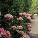 Moon Valley Nurseries - Farms