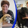 Blue Ribbon Dog & Cat Grooming gallery