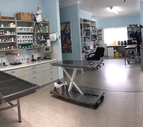 Cooper Street Veterinary Hospital - Cootamundra, NSW