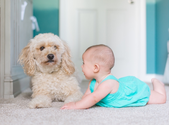 Salisbury Rug And Carpet Cleaning - Salisbury, NC