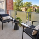 The Carlyle Apartment Homes - Apartments