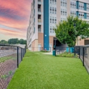 Berkshire Chapel Hill Apartments - Apartment Sharing Service