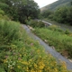 Lehigh Gap Nature Center