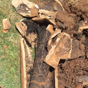 Gallery Image Number 5