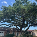 Southeast Tree - Arborists