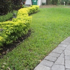 Green Shoots Lawn Care