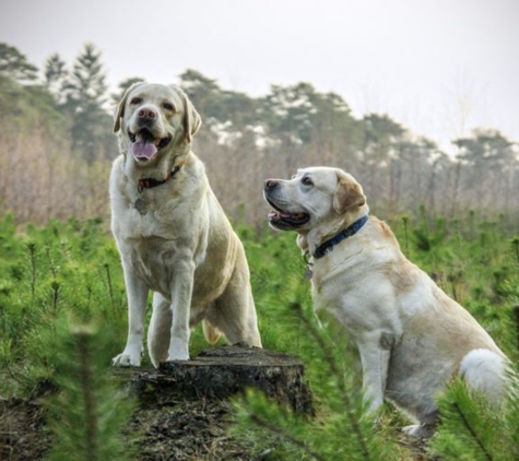 Care for Pets Veterinary Clinic