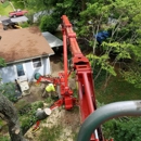 A  W D Tree Service - Stump Removal & Grinding