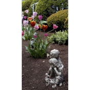 Gallery Image Number 2