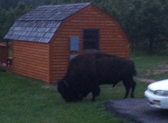 Blue Bell Lodge - Custer, SD