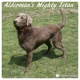 Alderman's Labradors