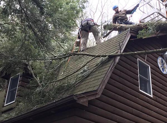 Top Notch Tree Care