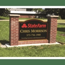 State Farm Insurance - Insurance