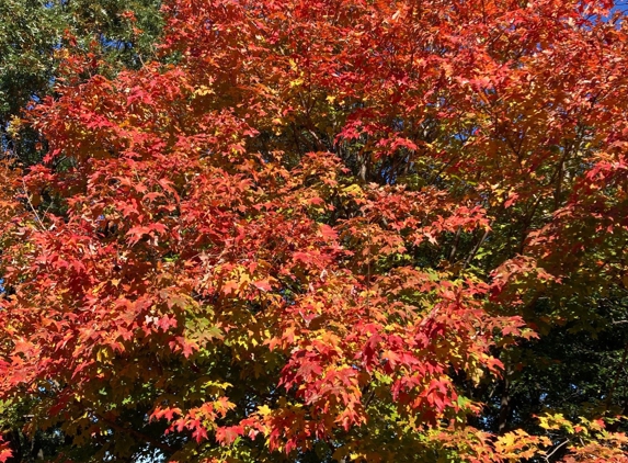 Riverside Park Fund - New York, NY