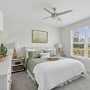 Wentworth Park Apartments - Apartments